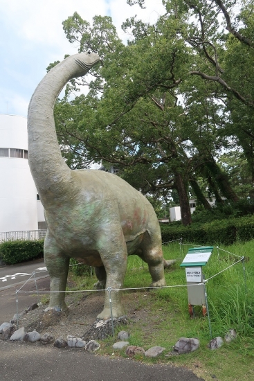 東海大学自然史博物館　ケティオサウルス