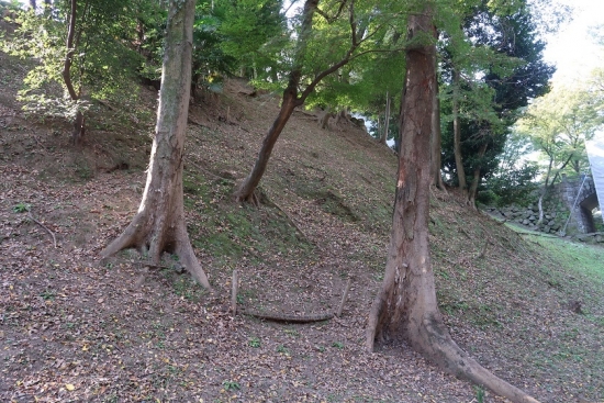 愛知県岡崎市 岡崎公園　清海堀を探索しよう