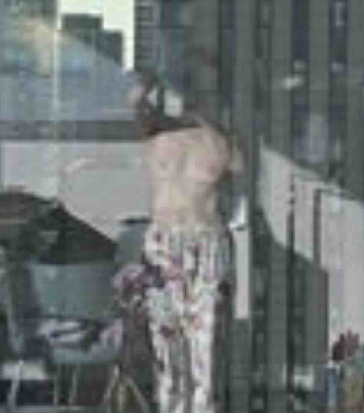 松居一代、アメブロでの裸体公開「下は穿いてる」サイバーＡから注意…船越英一郎元妻
