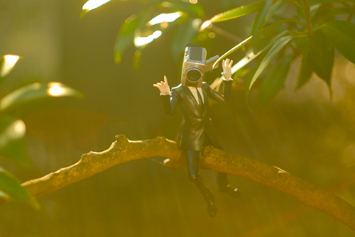 ツバキアキラが撮った、S.H.フィギュアーツ・カメラ男。木の枝にまたがって、高い所からの眺めを楽しんでいるカメラ男。