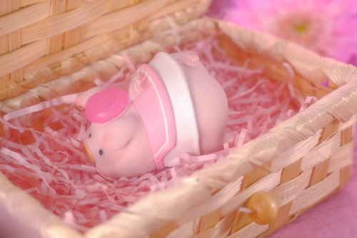 ツバキアキラが撮った、子豚のLuLu。さくらLuLuちゃんの新作をバスケットに詰めてみました。
