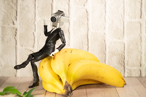 ツバキアキラが撮った、S.H.フィギュアーツ・カメラ男。エレガントにバナナに腰を掛けている、カメラ男。