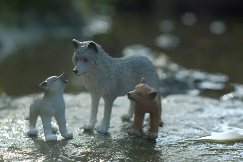 ツバキアキラが撮ったSchleich・オオカミの親子の写真。水遊びをしたい子供たちと、それをたしなめるお母さん。