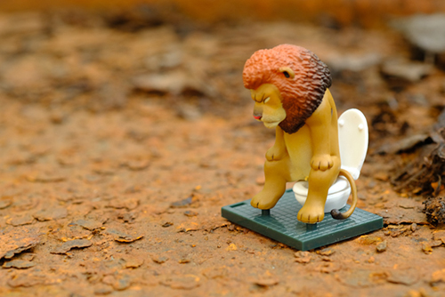 ツバキアキラが撮った、ガチャガチャ、佐藤邦雄の動物たち「トイレの時間」。うーんと踏ん張っているライオンさん。