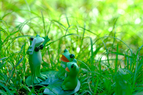 ツバキアキラが撮ったカエルのフィギュア、コポー。草むらで、歌の練習をしているコポタロウと子ガエルたち。