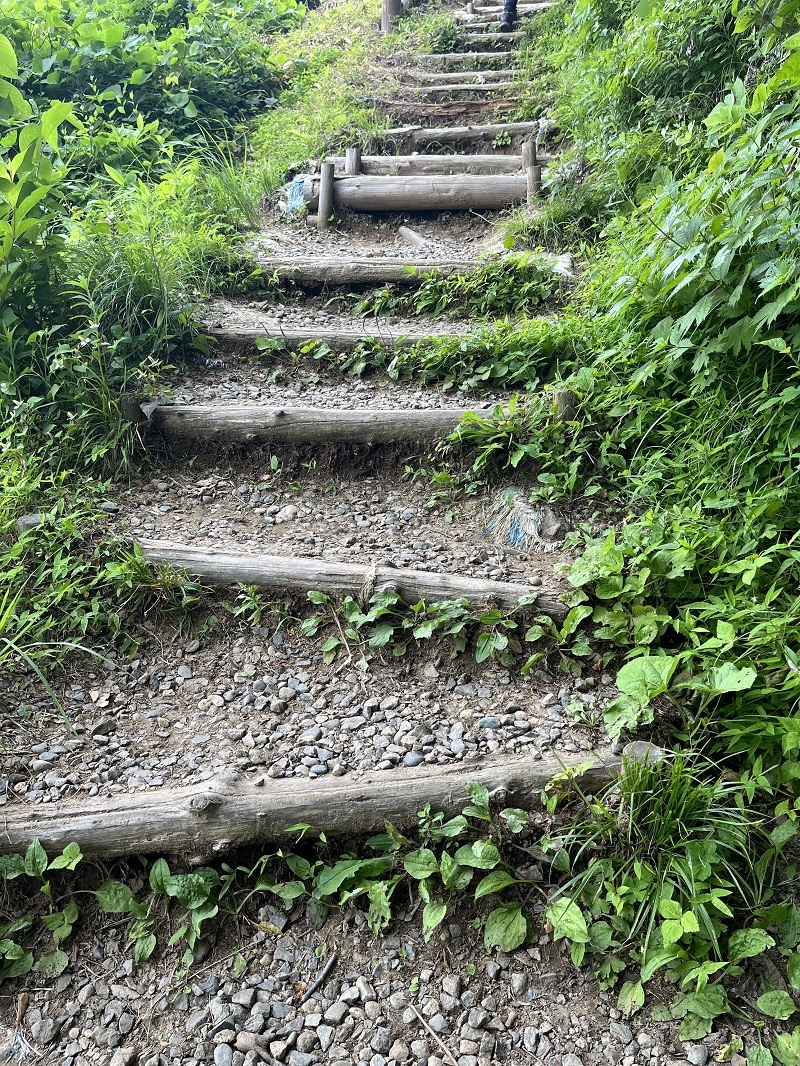 10護摩堂山東側遊歩道階段