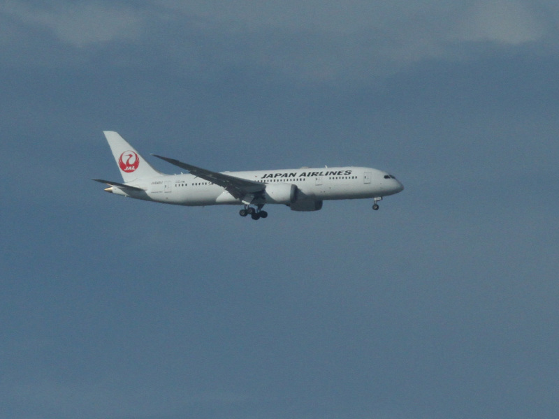 062ーJAL101 HNDITMトリミング_91062ーJAL101 HNDITM 