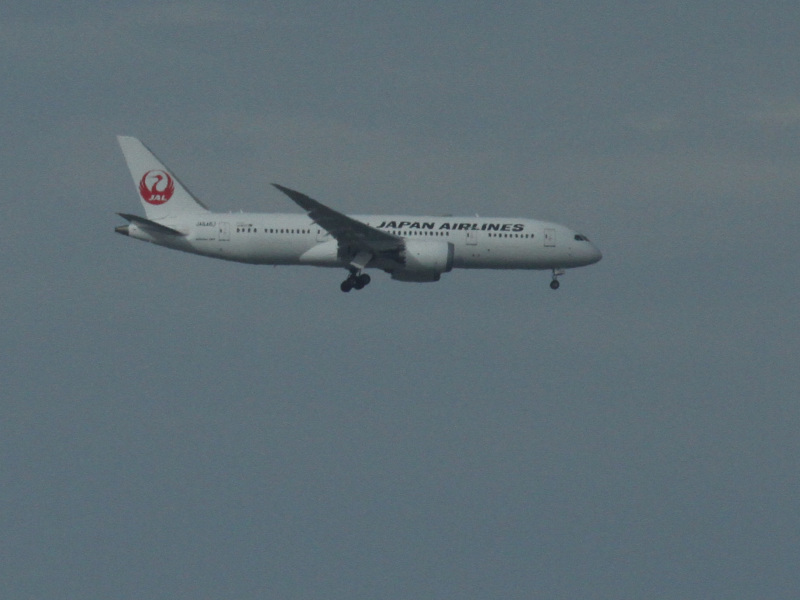 039-JAL101トリミング_107039-JAL101 