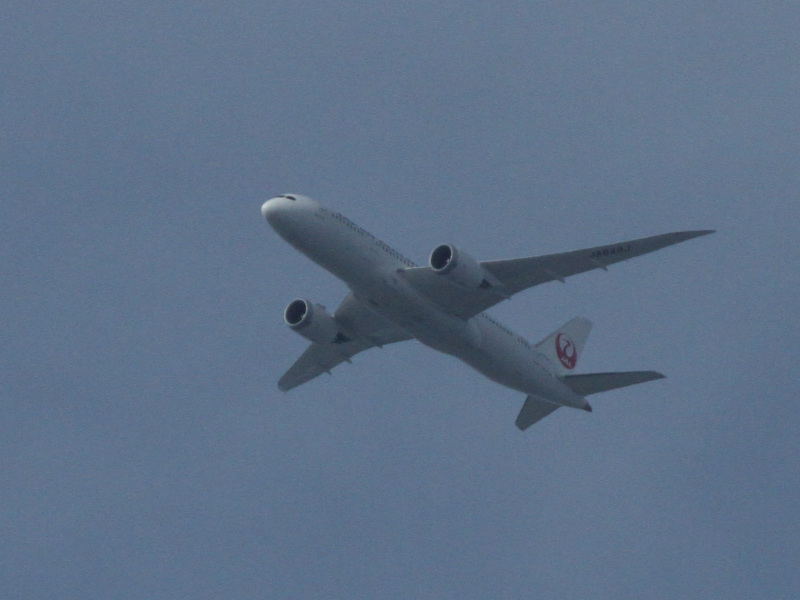 050ーJAL104トリミング_134050ーJAL104 