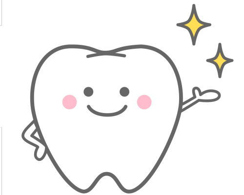歯 エナメル質 虫歯 再生技術