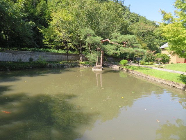 山寺常山邸の園池