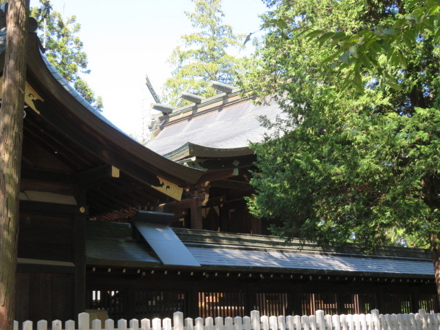 象山神社の本殿３