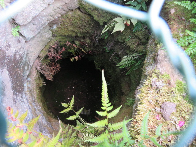 典厩寺の境内井戸４
