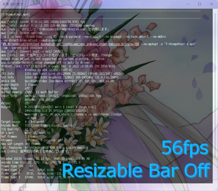 Aviutl_QSVEnc_resizable_bar_off_20240124_text.jpg
