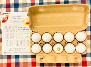 20230622セイアグリー健康卵