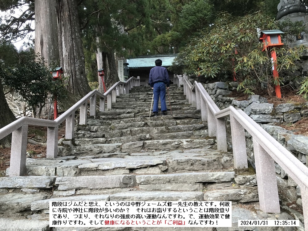 １月３１日に焼山寺山を登った。