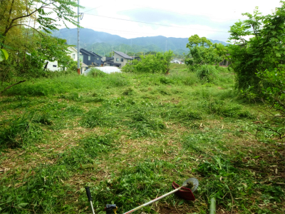 230522耕作放棄地の篠竹刈り