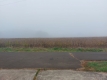 濃い霧
