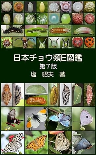 日本チョウ類Ｅ図鑑