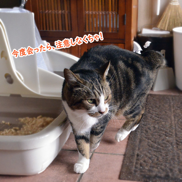 チェック４