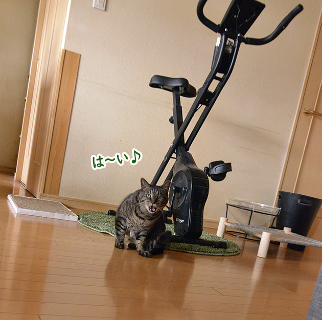 呼んだだけ２