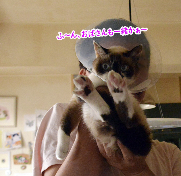 きゃぁ４