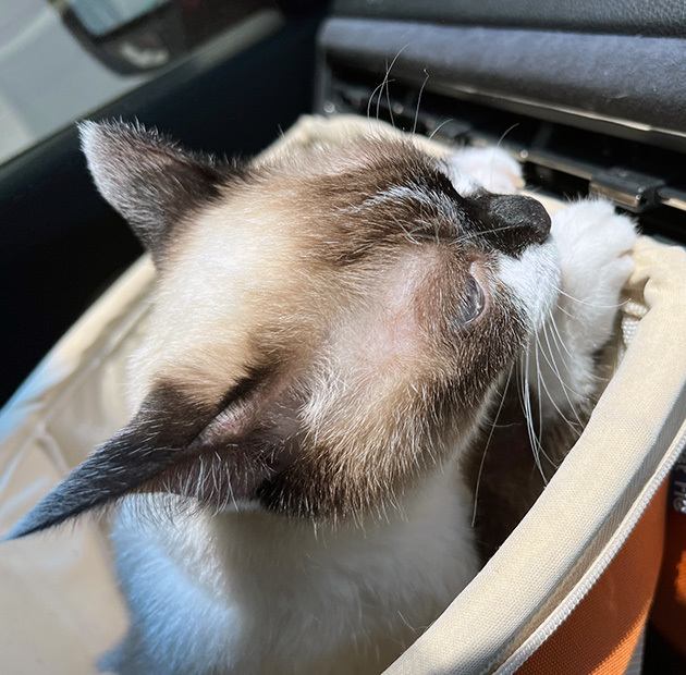 知らんかった４