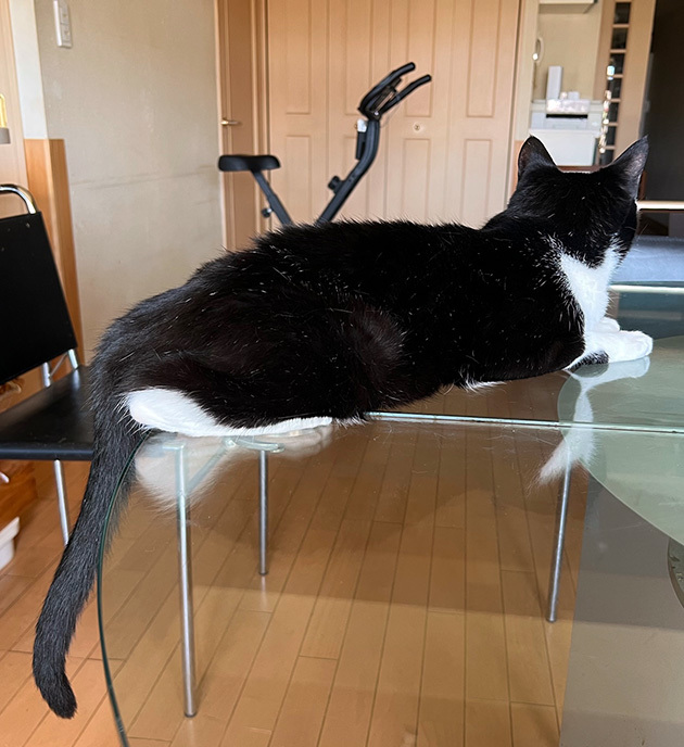 長すぎ１