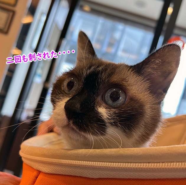 まる３