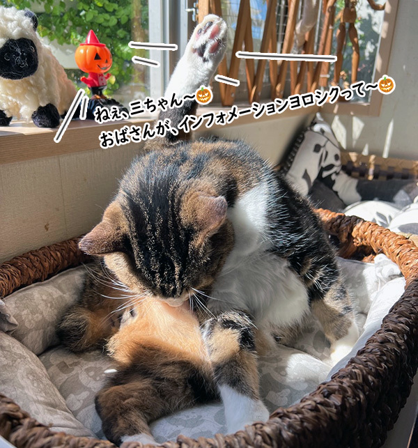 ねぇ１