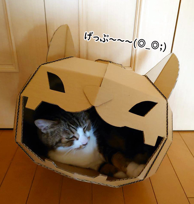 胸やけかぼちゃ５