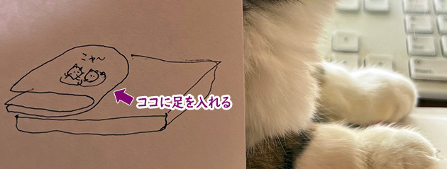 ウソだと思うなら３