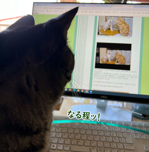 予習３